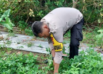 Polsek Pangkalan Lesung Turun ke Lapangan, Dengar Keluh Kesah Petani soal Ketahanan Pangan