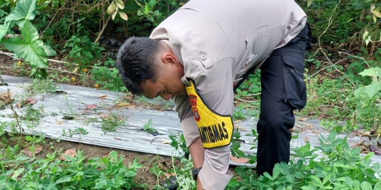 Polsek Pangkalan Lesung Turun ke Lapangan, Dengar Keluh Kesah Petani soal Ketahanan Pangan