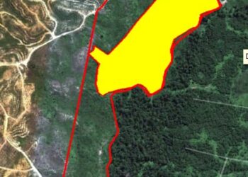 Diduga Agus Sutijo Lakukan Pembegalan Lahan Tokoh Masyarakat Subulussalam, 29 Hektar Lenyap Di Tangan Oknum Pengusaha