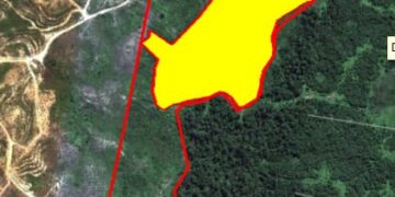 Diduga Agus Sutijo Lakukan Pembegalan Lahan Tokoh Masyarakat Subulussalam, 29 Hektar Lenyap Di Tangan Oknum Pengusaha