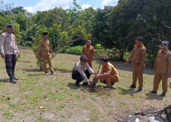 Polsek Bunut Tanam Pohon Buah di Kantor Camat, Dukung Gerakan Penghijauan Polda Riau