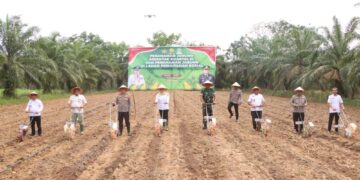 Semangat Menuju Swasembada Pangan, Polres Banyuasin tanam Jagung kuartal Ke III