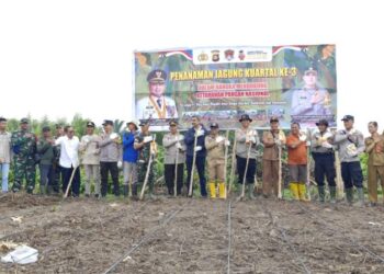 Dukung Swasembada Pangan, Kapolsek Rambutan Pimpin Penanaman Jagung Kuartal III
