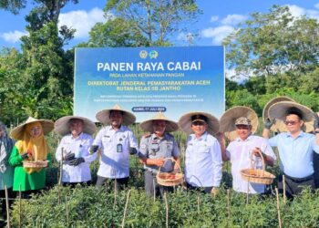 Hasil Panen Melimpah, Kakanwil Ditjenpas Aceh Pimpin Panen Raya Di Rutan Jantho