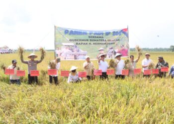Kapolres Banyuasin Dampingi Bupati Panen Raya IP 200 Di Karang Agung Ilir