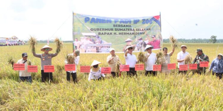 Kapolres Banyuasin Dampingi Bupati Panen Raya IP 200 Di Karang Agung Ilir