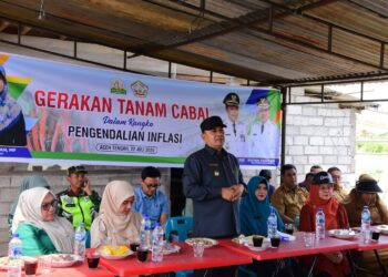 Wakil Bupati Aceh Tengah Hadiri Gerakan Tanam Cabai di Ketol, Perkuat Pengendalian Inflasi