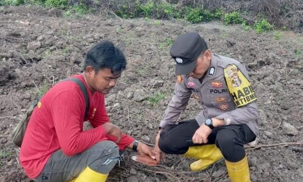 Polsek Rambutan Cek Lahan Persiapan Penanaman Jagung Di PT Duta Reka Mandiri