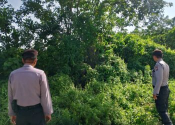 Polsek Pangkalan Kerinci Gencarkan Patroli Karhutla dan Sosialisasi Larangan Bakar Lahan