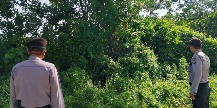 Polsek Pangkalan Kerinci Gencarkan Patroli Karhutla dan Sosialisasi Larangan Bakar Lahan