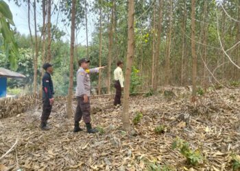 Polsek Bunut Gelar Patroli Karhutla di Desa Terbangiang, Titik Api Nihil