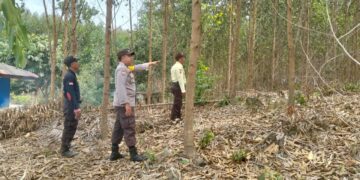 Polsek Bunut Gelar Patroli Karhutla di Desa Terbangiang, Titik Api Nihil