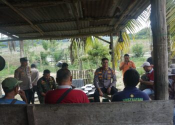 Kapolsek Pangkalan Kuras Tinjau Lahan Jagung di Pelalawan, Dukung Ketahanan Pangan Nasional