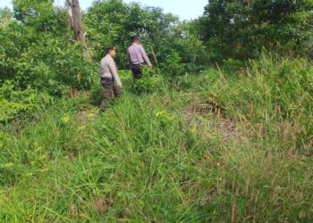 Polsek Pangkalan Kerinci Patroli Karhutla, Warga Diimbau Tak Bakar Lahan