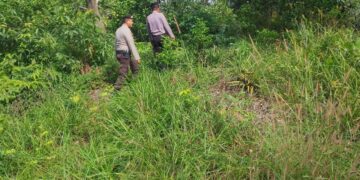 Polsek Pangkalan Kerinci Patroli Karhutla, Warga Diimbau Tak Bakar Lahan