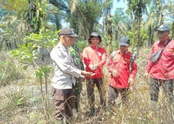 Polsek Teluk Meranti Gelar Patroli Terpadu Karhutla di Titik Rawan