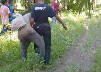 Insiden Keributan Antara Satpam PT BDA Longkib Dengan Terduga Pencuri Sawit