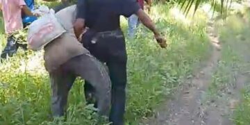 Insiden Keributan Antara Satpam PT BDA Longkib Dengan Terduga Pencuri Sawit