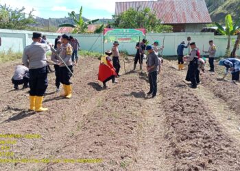BPP Lut Tawar Aktif Laksanakan Program Ketahanan Pangan melalui Penanaman Jagung