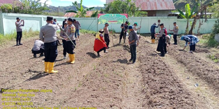 BPP Lut Tawar Aktif Laksanakan Program Ketahanan Pangan melalui Penanaman Jagung