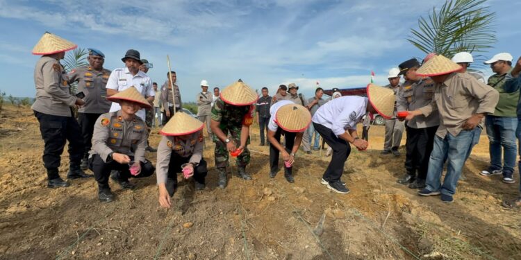 Polres Kuantan Singingi dan PT Kebun Pantai Raja Gelar Penanaman Jagung Serentak Dukung Ketahanan Pangan Nasional
