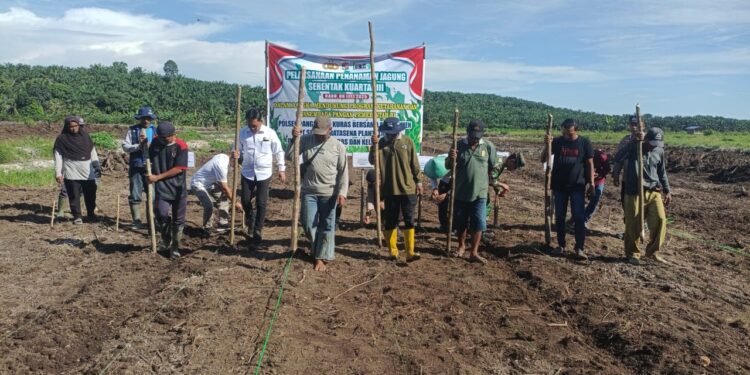 Penanaman Jagung Serentak Digelar di Lahan PT Surya Bratasena Plantation, Dukung Swasembada Pangan 2025