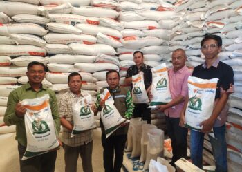 Pemkot Subulussalam Dan LSM API Pastikan Mutu Beras Bantuan Aman, 190 Ton Lebih Siap Disalurkan Ke 82 Desa