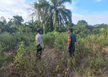 Polsek Langgam Patroli Cegah Karhutla