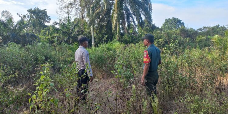 Polsek Langgam Patroli Cegah Karhutla