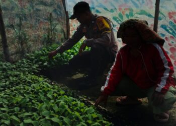 Bhabinkamtibmas Pangkalan Kerinci Ajak Warga Manfaatkan Pekarangan untuk Ketahanan Pangan