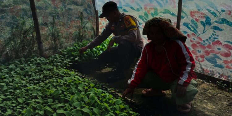 Bhabinkamtibmas Pangkalan Kerinci Ajak Warga Manfaatkan Pekarangan untuk Ketahanan Pangan