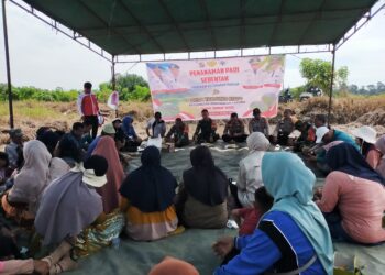 Penanaman Padi Serentak di Desa Tanjung Kuyo Jadi Langkah Strategis Perkuat Ketahanan Pangan Pelalawan