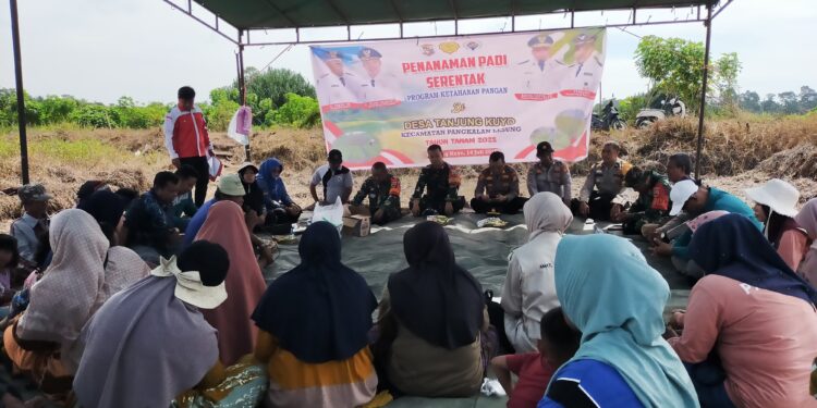 Penanaman Padi Serentak di Desa Tanjung Kuyo Jadi Langkah Strategis Perkuat Ketahanan Pangan Pelalawan