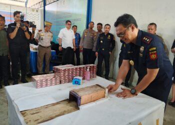 Bea Cukai Langsa Musnahkan Rokok dan Satwa Ilegal
