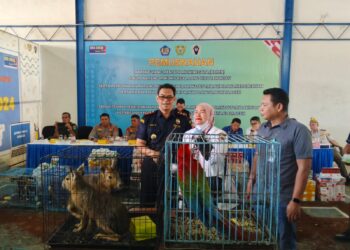 Sembilan Ekor Satwa Dilindungi Hasil Penindakan Bea Cukai Langsa Dititip ke Lembaga Konservasi