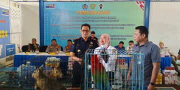 Sembilan Ekor Satwa Dilindungi Hasil Penindakan Bea Cukai Langsa Dititip ke Lembaga Konservasi