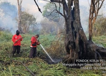 Lahan Tidur di Desa Kesuma Terbakar, Regu Gabungan Lakukan Pemadaman Manual