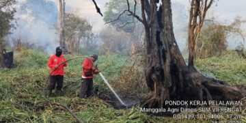 Lahan Tidur di Desa Kesuma Terbakar, Regu Gabungan Lakukan Pemadaman Manual