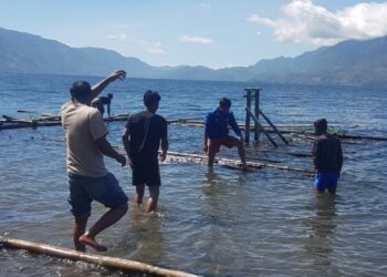 PEMA UGP Mendukung Penertiban Alat Tangkap Ikan cangkul padang Di Danau Laut Tawar