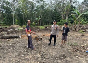 Polsek Pangkalan Kuras Cek Lahan Ketahanan Pangan di Desa Palas, Tanam Jagung Pipil