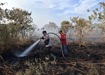 Karhutla di Teluk Meranti, Polisi Bersama Tim Terpadu Lakukan Berjibaku Lakukan Pemadaman