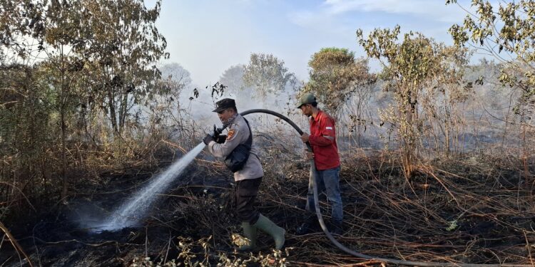 Karhutla di Teluk Meranti, Polisi Bersama Tim Terpadu Lakukan Berjibaku Lakukan Pemadaman