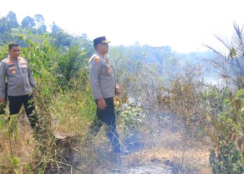 Kapolres Kampar Tinjau Lokasi Karhutla Di Perbatasan 50 Kota, Api Berhasil Dipadamkan!