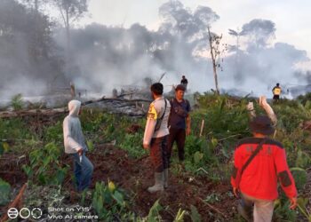 Karhutla di Ukui, Api Ludeskan 2 Hektare Lahan: Kolaborasi Hebat Padamkan Api hingga Malam