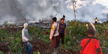 Karhutla di Ukui, Api Ludeskan 2 Hektare Lahan: Kolaborasi Hebat Padamkan Api hingga Malam