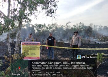 Hotspot Tak Terpantau DLK Ditemukan di Langgam Pelalawan, Api Sudah Padam tapi Masih Berasap