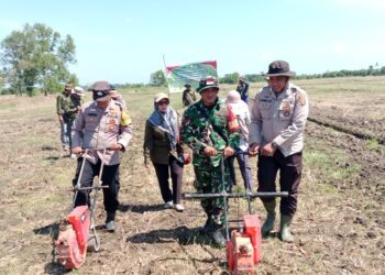 Wakili Kapolsek Makarti Jaya, Kasubsektor Air Salek Turun Langsung Penanaman Jagung Kuartal III
