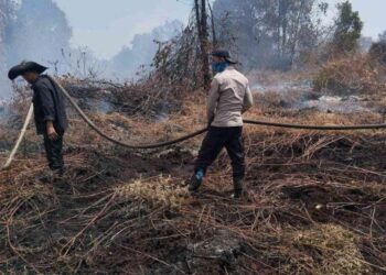 Hari Ketiga Pendinginan Karhutla di Pelalawan, Asap Masih Terpantau di Teluk Meranti