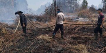 Hari Ketiga Pendinginan Karhutla di Pelalawan, Asap Masih Terpantau di Teluk Meranti
