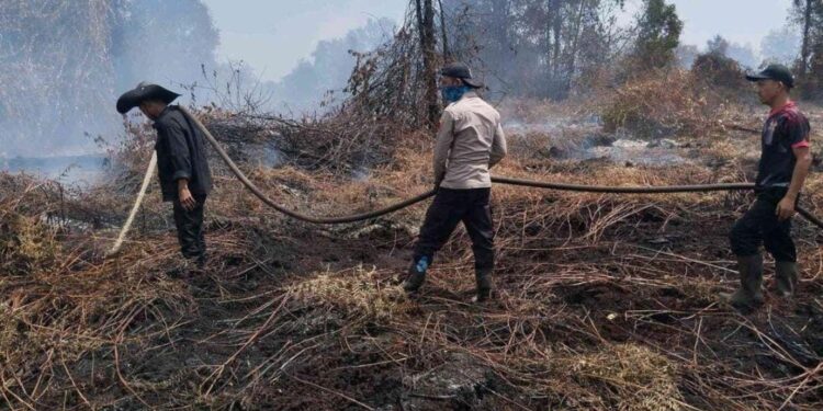 Hari Ketiga Pendinginan Karhutla di Pelalawan, Asap Masih Terpantau di Teluk Meranti